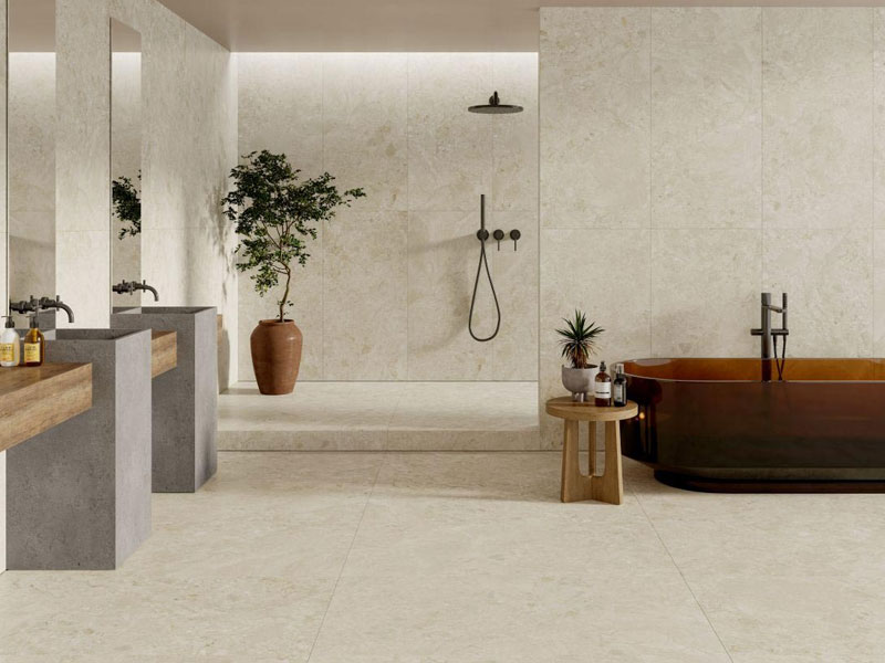 Tiles Design for Washroom